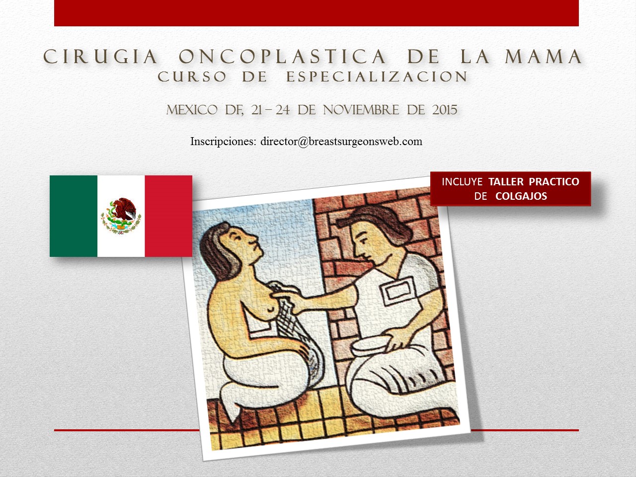 Portada web curso México 2015